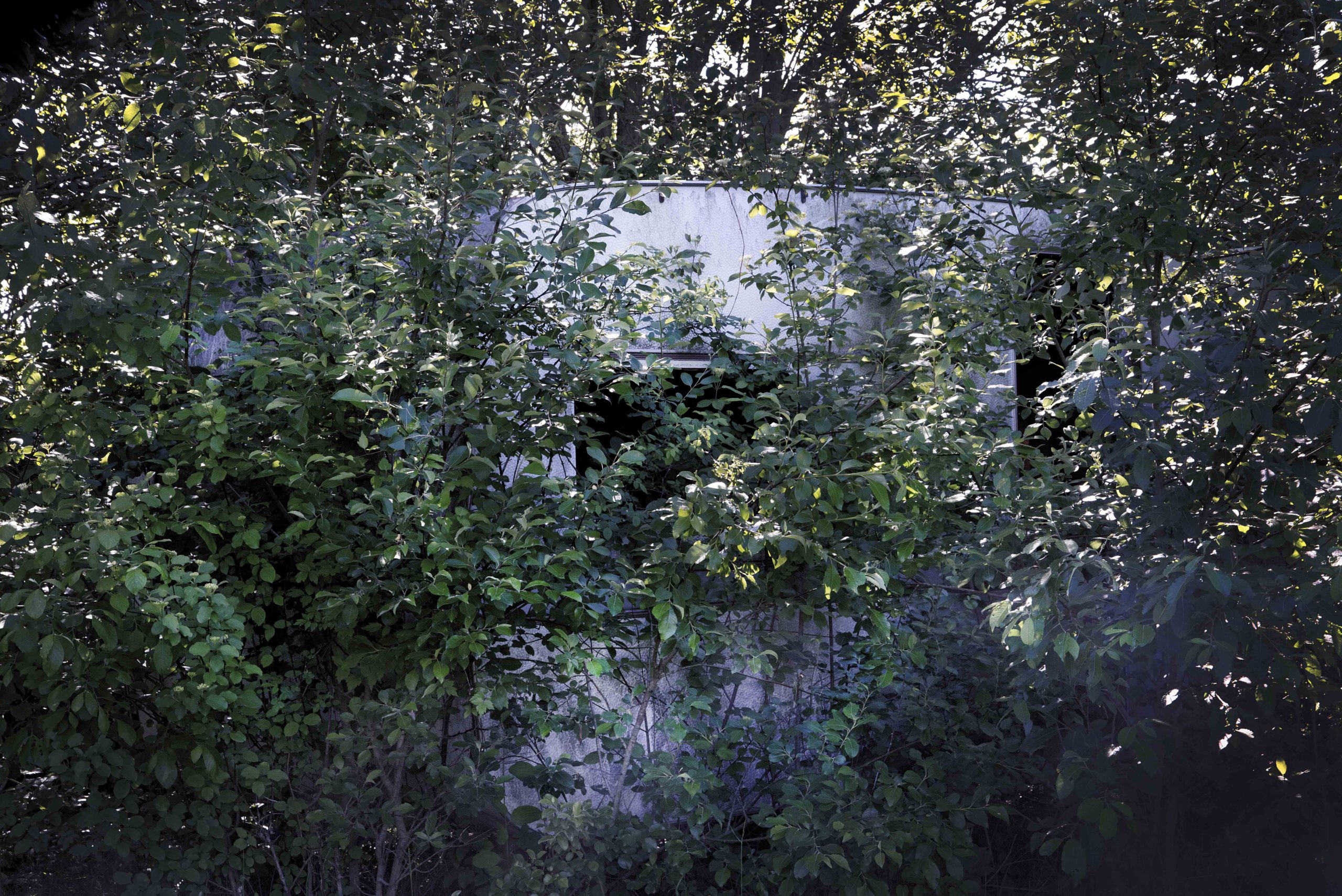 _DSC3779